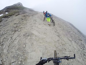 14251982817_d8d4c55f6a_z