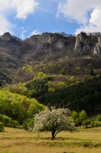 14031443114_76cc34df4d_z