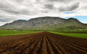 14050742273_040edd00ab_z