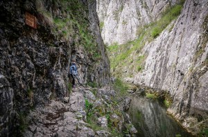 14050900793_ce3b181b23_z