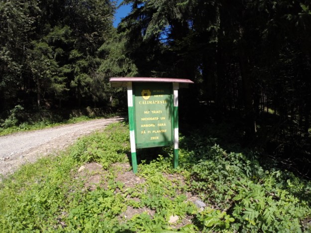 GOPR1395_1409406746125_low.JPG image