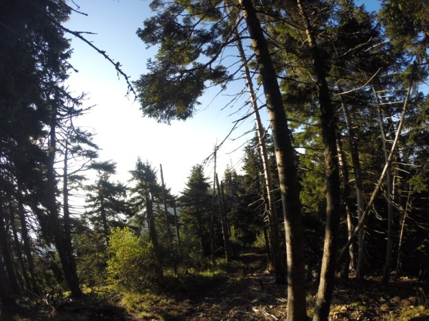 GOPR1487_1409462215533_low.JPG image