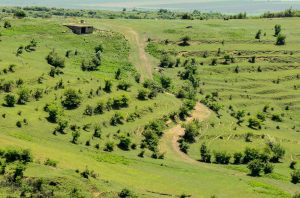 970012_522827581113695_620120185_n