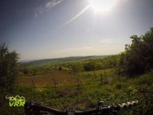 DCIM100GOPRO