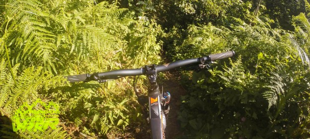 welcome to the jungle, we've got fun 'n' games